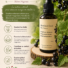 ChatGPT Cassis Alcoolature Cassis