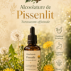 ChatGPT Pissenlit Alcoolature Pissenlit