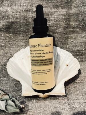 Alcoolature Plantain