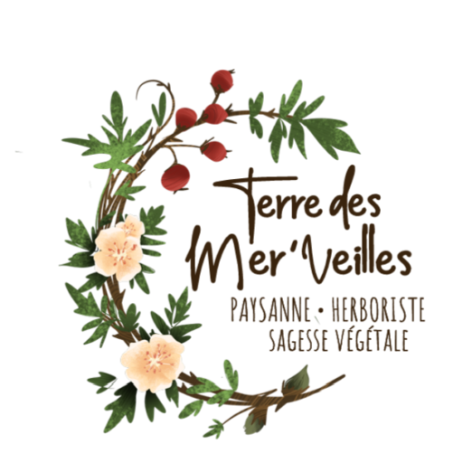 Terre des Mer'Veilles